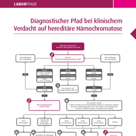 Hereditäre Hämochromatose - Laborpfad