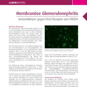 Membranöse Glomerulonephritis